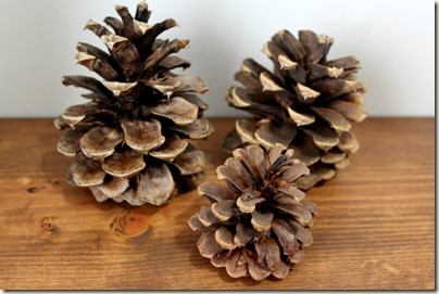 Paint Dipped Pinecone_1