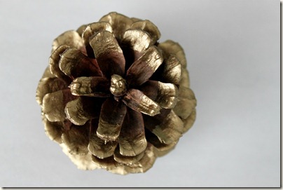 Paint Dipped Pinecone_4