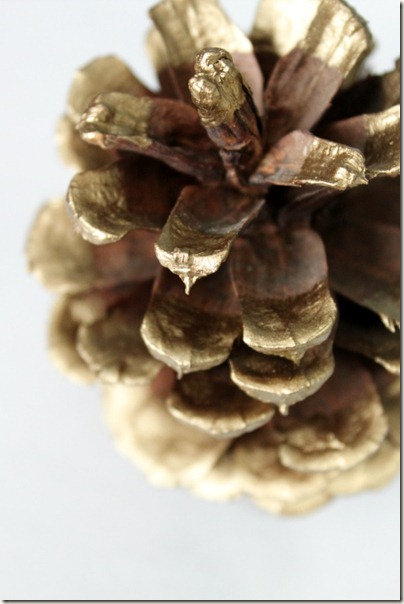 Paint Dipped Pinecone_5