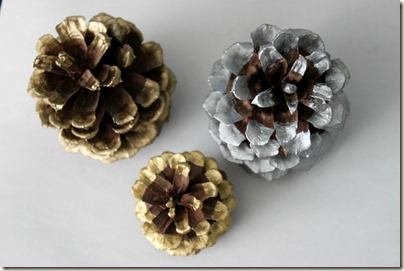 Paint Dipped Pinecone_6