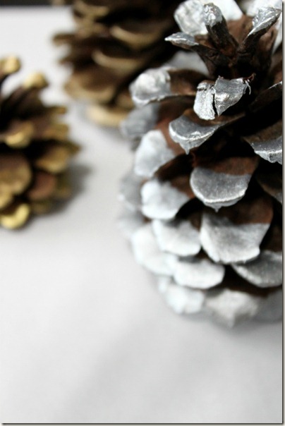 Paint Dipped Pinecone_8